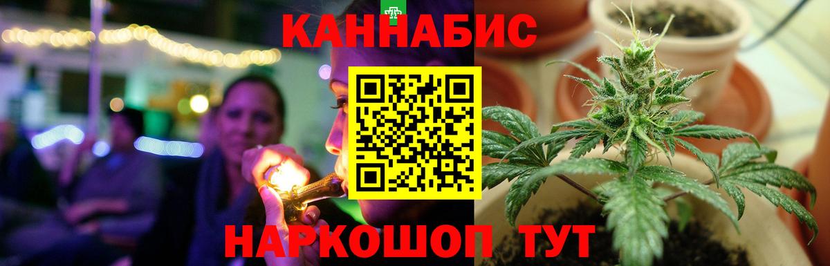 Шишки марихуана Amnesia Тосно